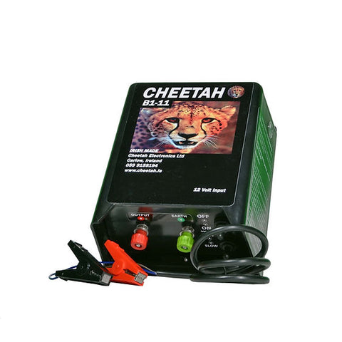 Cheetah B1-11