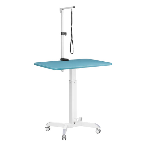 large height adjustable grooming table for dogs