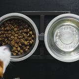 Fudajo double bowl with stand height adjustable L dog feeding station