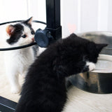 Fudajo double bowl with stand height adjustable L dog feeding station