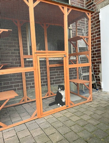 Wooden Outdoor Pet Playpen for Cats 180x88x169 cm with 6 Platforms