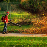 Petrol Backpack Leaf  / Grass Blower with 1.7 HP
