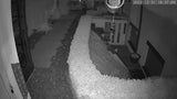 Calving Camera Pan /Tilt 360° Night Vision  Motion Detection for Sheep and Cattle