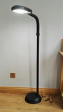 Daylight Standard Light floor Lamp