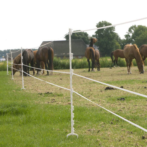 Gallagher Horse Post 1.5M (Box of 10)
