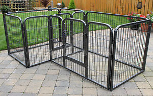 Double dog pen hot sale