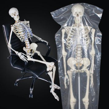 Full size human skeleton 1.8 M on stand