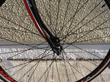 CASTELLO VETTO ROAD RACING BIKE STI GEARS