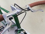 VINTAGE SINGLE SPEED FREEWHEELS BIKE FIXED GEAR / FIXIE ROAD BIKE GREEN 161