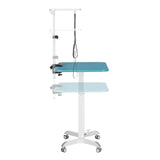 large height adjustable grooming table for dogs