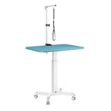 large height adjustable grooming table for dogs