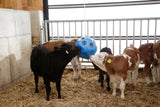 Feeding Ball  / Toy for Horses .... Hay Ball