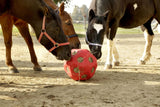 Feeding Ball  / Toy for Horses .... Hay Ball