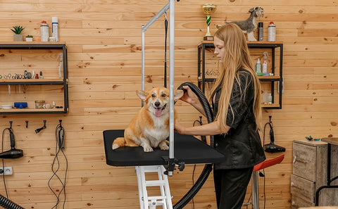 Adjustable Hydraulic Grooming Table for Pets 60 kg Scratch