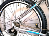 BENTINI MANITOBA ALLOY MOUNTAIN BIKE 650B