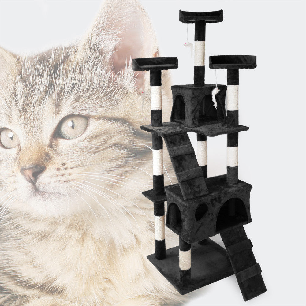 Cat scratching activity top centre