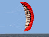 2.5 m Dual Line Stunt Sport Kite Kite with Handle 30 M